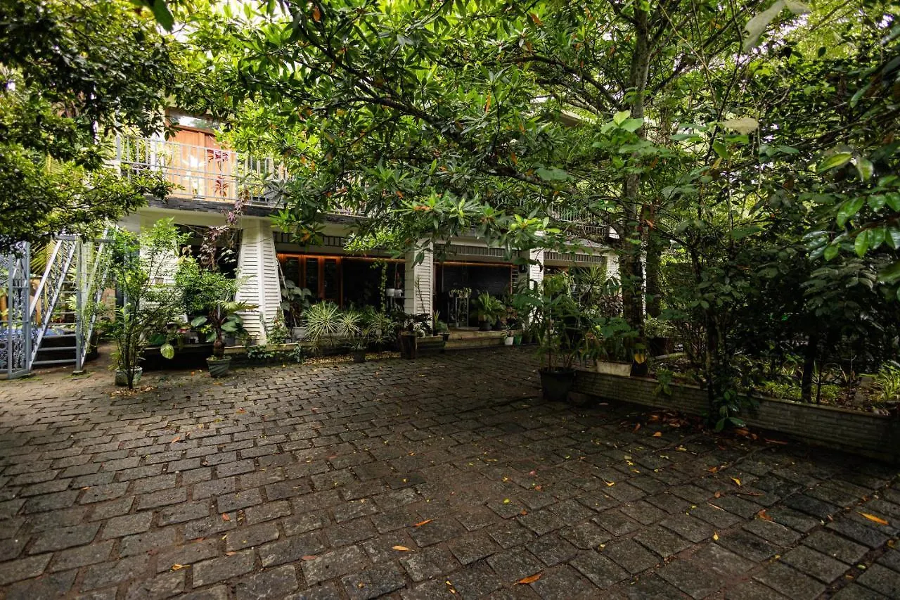 Looking Glass By Roamhome Kochi Homestay