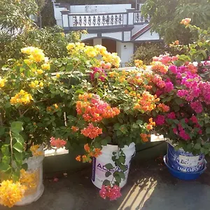 Heavenly Kochi